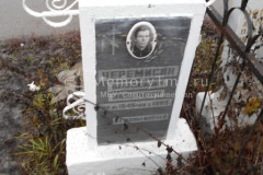 Черемисин Владимир Иванович