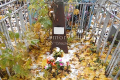 Безымянное