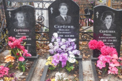 Серёгины