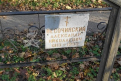 Песочинский Александр Николаевич