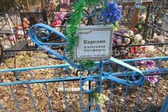 Колягин Василий Петрович