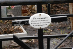 Пеленицына Наталья Михайловна