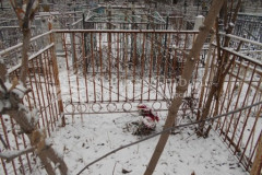 Безымянное