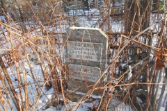 Лапина Мария Николаевна