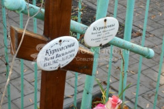 Курносовы