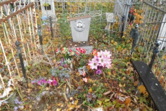 Павлов