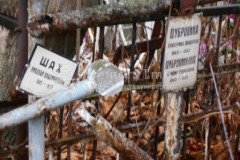 Дубровина (Шах) София Павловна