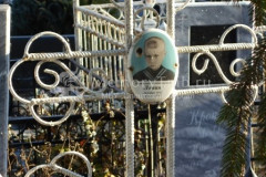 Левин Николай Алексеевич