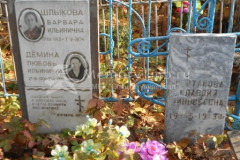 Дёмина Любовь Ильинична