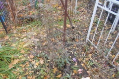 Безымянное