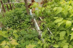 Терехов Николай Николаевич