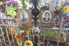 Заволокины
