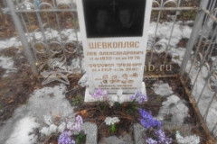 Шевкопляс Людмила Павловна