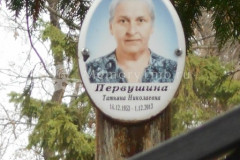 Первушина Татьяна Николаевна