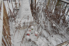 Безымянное