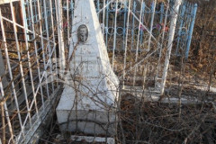 Митронольский Александр Александрович