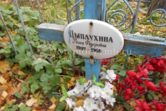 Цыплухина Раиса Фёдоровна