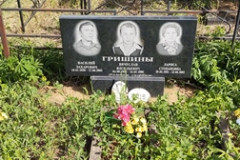 Гришина Лариса Степановна