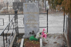 Дмитриева Агния Лукинична