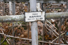 Лена Карева