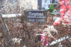 Пушкова Елизавета Даниловна