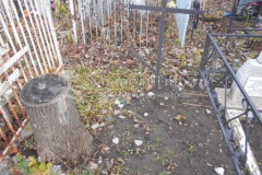 Безымянная