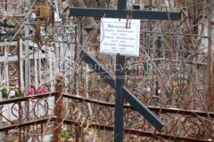 Васильев Аркадий Андреевич