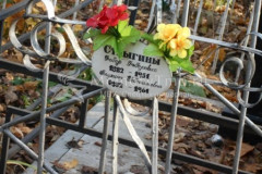 Стрыгина Акулина Евдокимовна