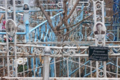 Приданцева Феврония Герасимовна