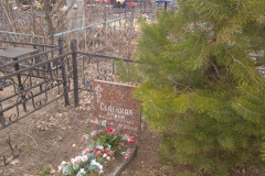 Селецкая Елена Михайловна