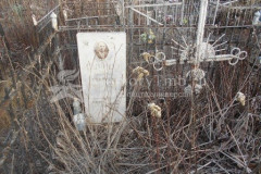 Сучков Дмитрий Федорович