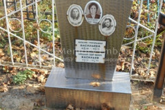 Васильев Николай Георгиевич