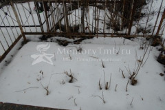 Безымянная