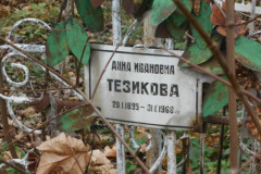 Тезикова Анна Ивановна