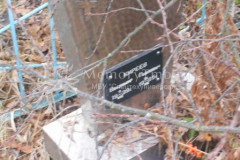 Киреев Владимир Павлович