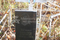 Демин Александр Сергеевич