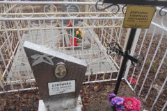 Добрынина Алимпиада Анатольевна