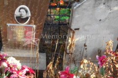 Шевцов Дмитрий Васильевич