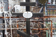 Дмитриев Сергей Александрович