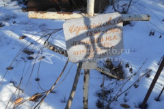 Чернышев Ю А