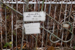 Сергиевская Агния Ивановна