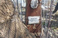 Вагин Василий Алексеевич