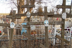 Рагулин Пётр Никитович