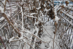 Безымянное