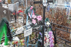 Межуев Николай Васильевич