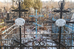 Моисеев Александр Емельянович