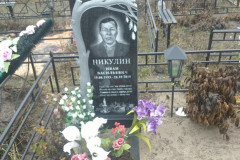 Никулин Иван Васильевич