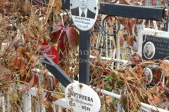 Алексеев Николай Максимович