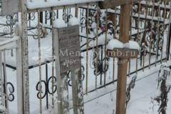 Мишина Анна Алексеевна