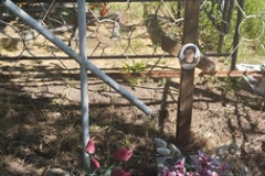 Филатова Валентина Дмитриевна